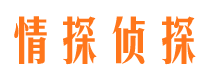 松原婚外情调查取证